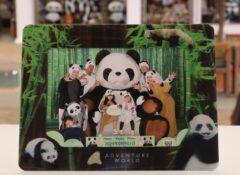 アドベンチャーワールド　写真ホルダー adventure002-240x175.jpg