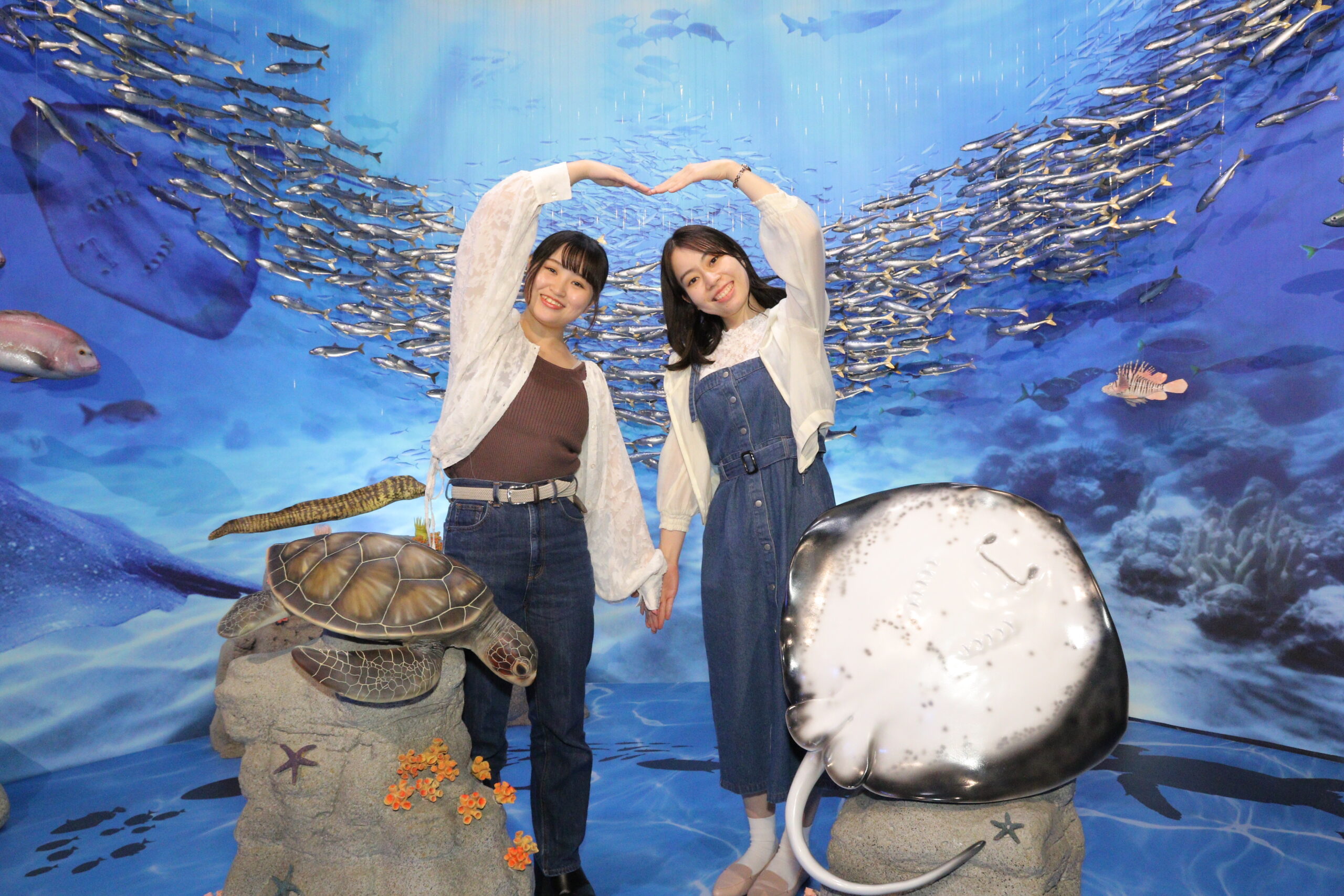 新江ノ島水族館 - BUNKYO STUDIO CO.（文教スタヂオ）