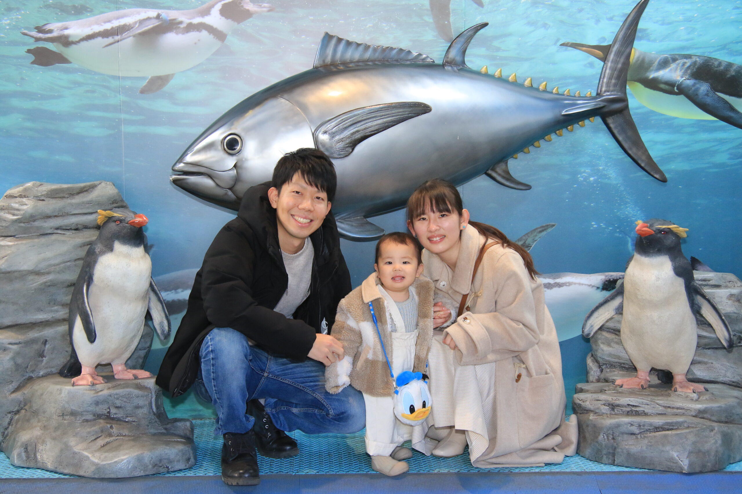 葛西臨海水族園 - BUNKYO STUDIO CO.（文教スタヂオ）