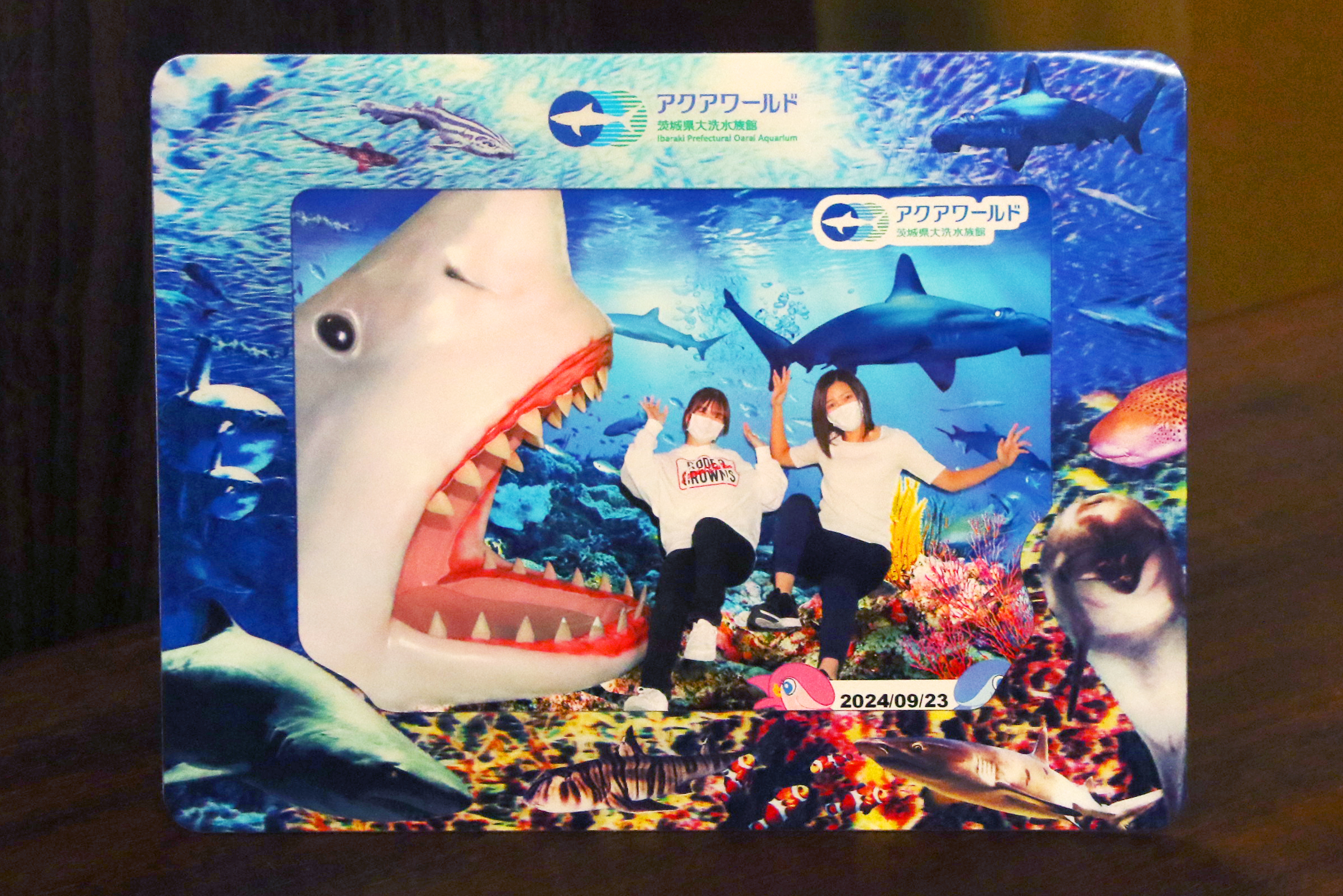 アクアワールド茨城県大洗水族館 - BUNKYO STUDIO CO.（文教スタヂオ）