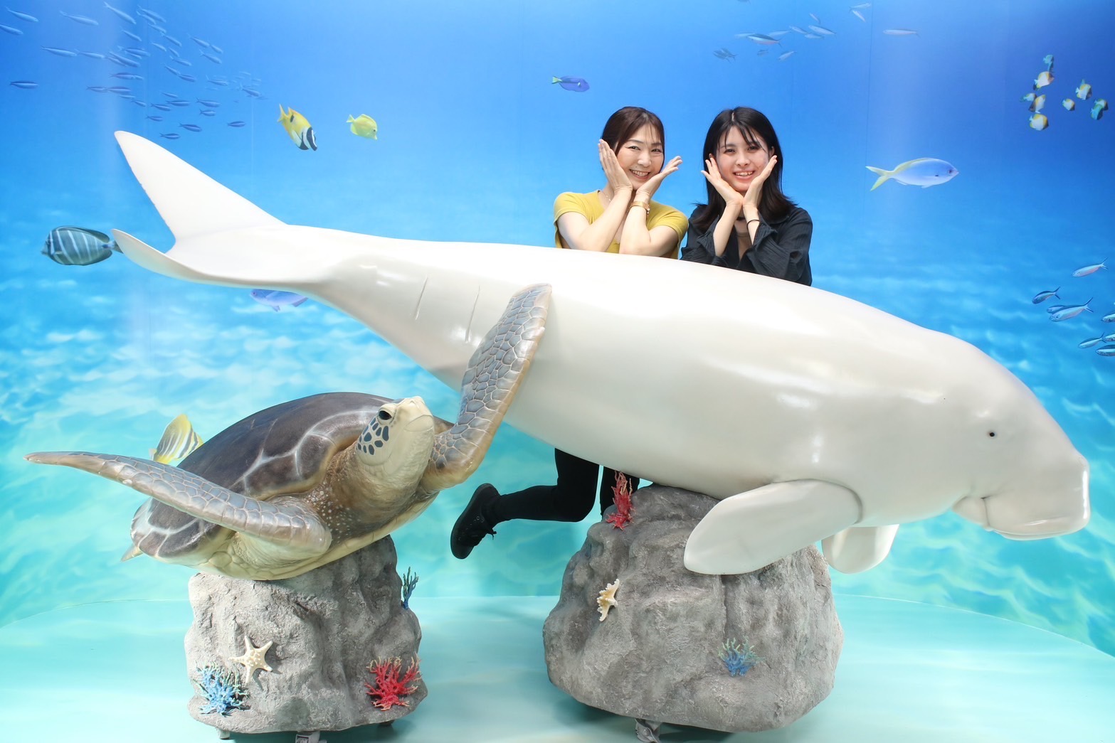 鳥羽水族館 - BUNKYO STUDIO CO.（文教スタヂオ）